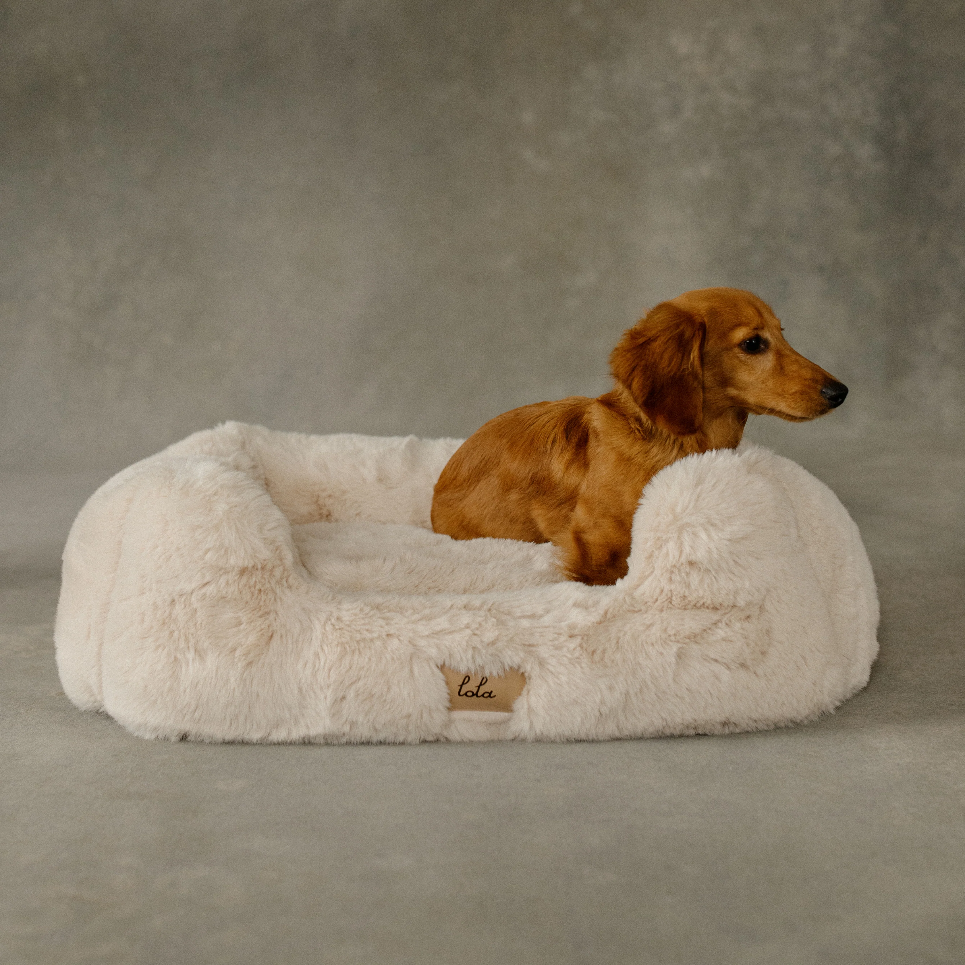 The Lola Pet Bed | Bondi Beige - Image 3
