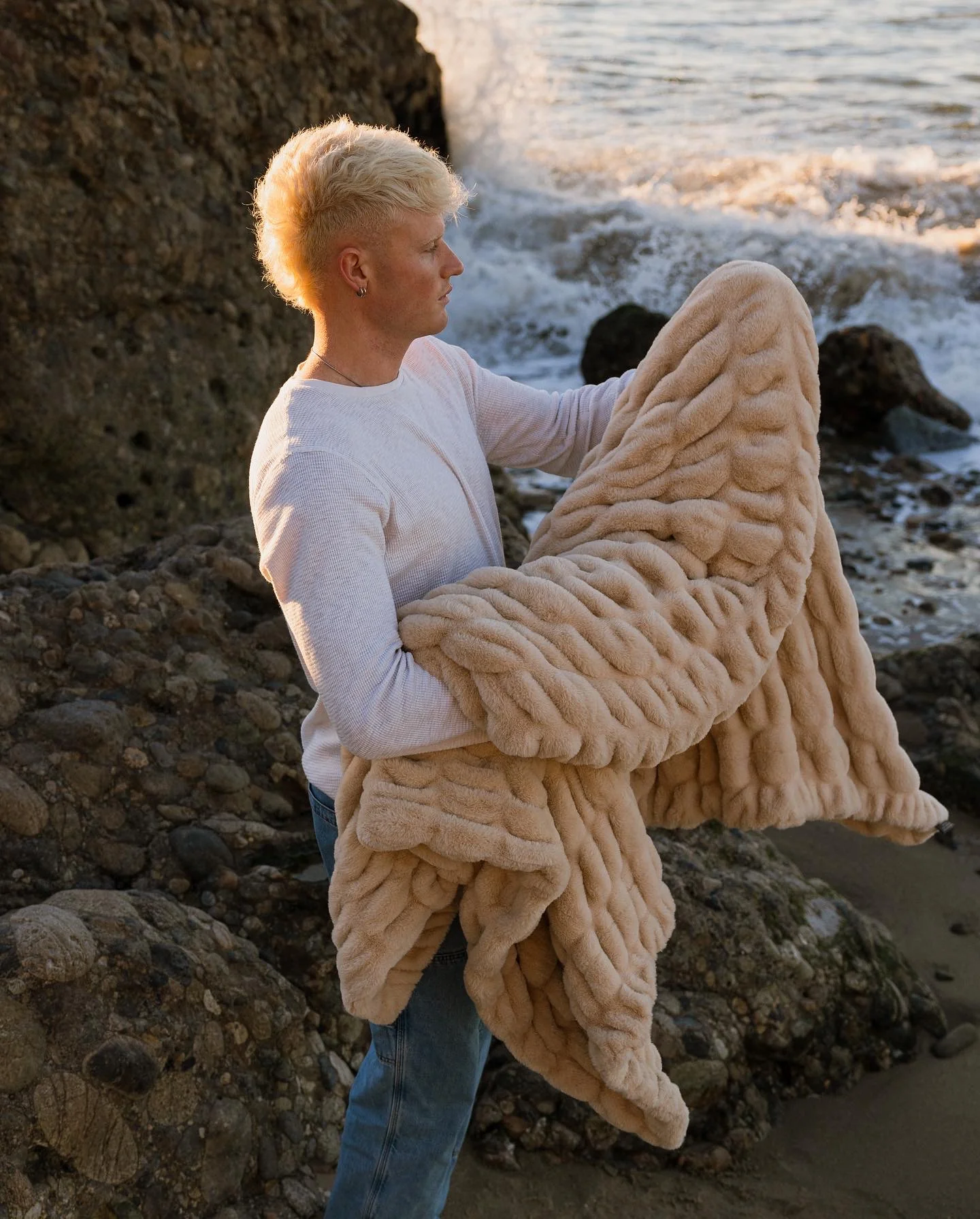 Sand Dollar - Image 4